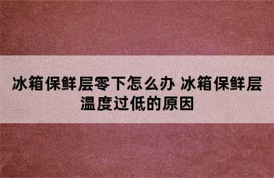 冰箱保鲜层零下怎么办 冰箱保鲜层温度过低的原因